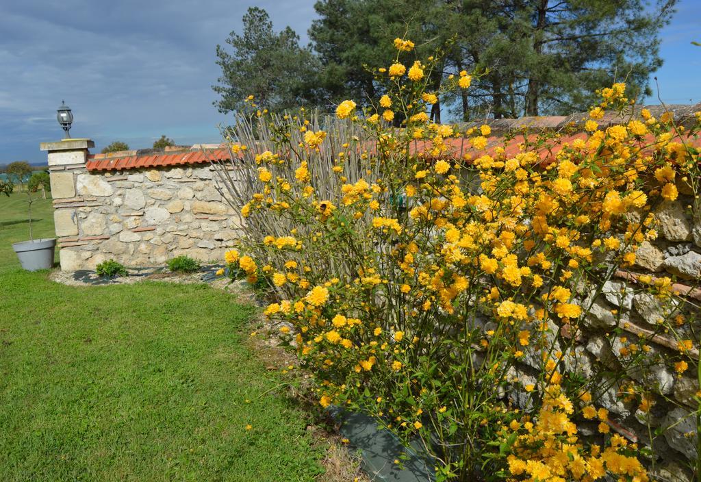 Le Coteau De Bazeille Sauna&detente Sas Guest house Sainte-Bazeille