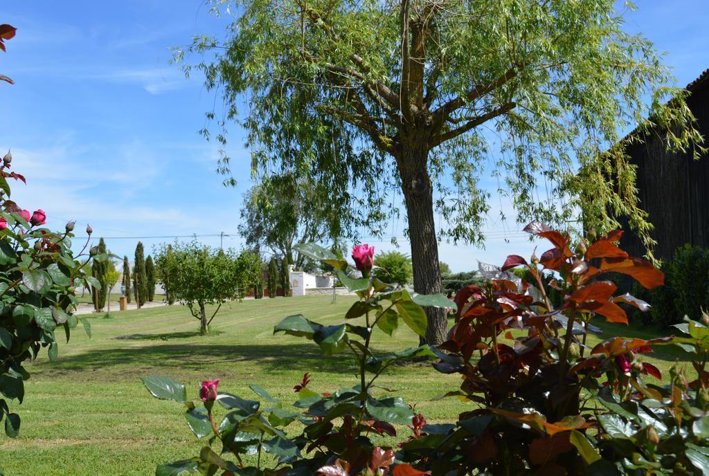 Le Coteau De Bazeille Sauna&detente Sas Guest house