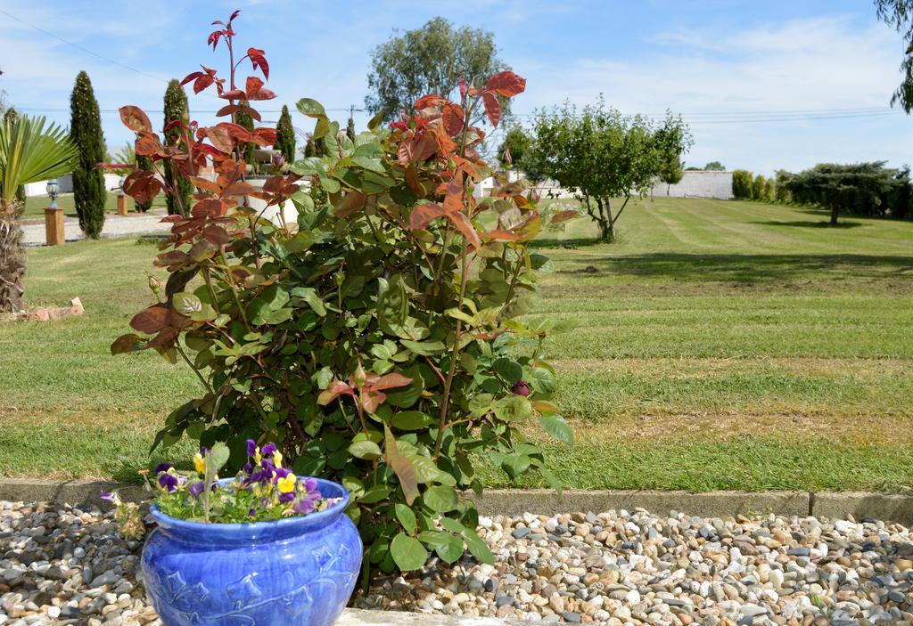 Guest house Le Coteau De Bazeille Sauna&detente Sas Sainte-Bazeille
