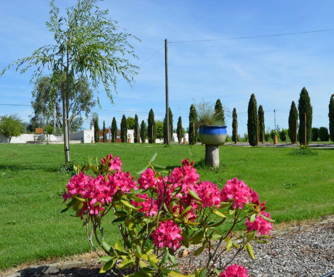 Le Coteau De Bazeille Sauna&detente Sas Guest house Sainte-Bazeille